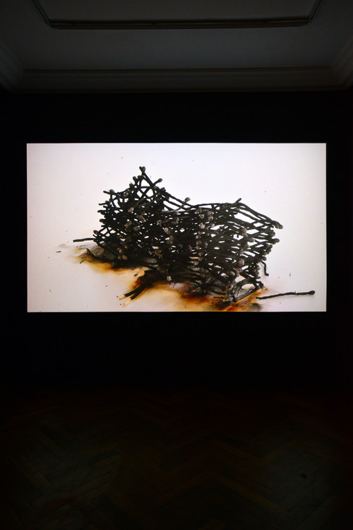 Jean-Christophe Marquez - Allumettes + combustion, 2013 - vidéo, muet, boucle : 2 minutes - Agrandir l'image, .JPG 14.5Mo (fenêtre modale)
