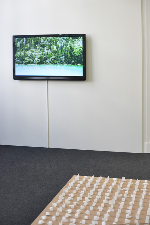 (1er plan) Elvia Teotski, Pas levés (Unleavened Open Cubes) (détail), 2013 - (2e plan) Résistance des formes, 2015 Vidéo HD 16/9, 8 min 35 - Agrandir l'image, .JPG 249Ko (fenêtre modale)