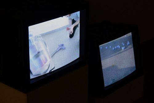 Jean-Christophe Marquez, Laine + aspirateur, 2012, vidéo, boucle : 4m43s - Cubes de papiers + vent, 2012, vidéo, boucle : 1m2s - Agrandir l'image, .JPG 3.9Mo (fenêtre modale)