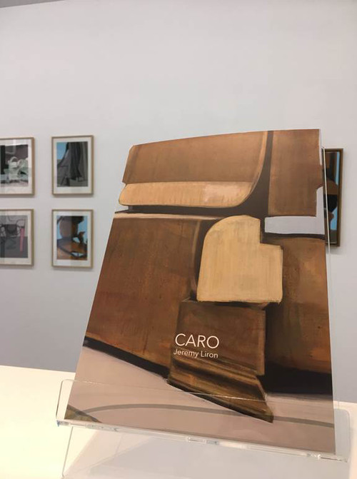 CARO, Jérémy Liron, édition Nuit Myrtide, 2019. - Agrandir l'image, .JPG 29Ko (fenêtre modale)