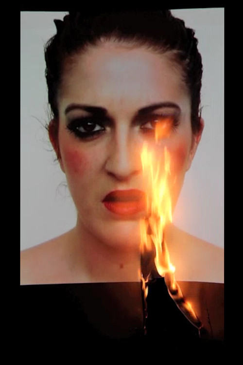 Julia Glaziou, Light my fire, 2012, vidéo, 8m37s - Agrandir l'image, .JPG 5.6Mo (fenêtre modale)